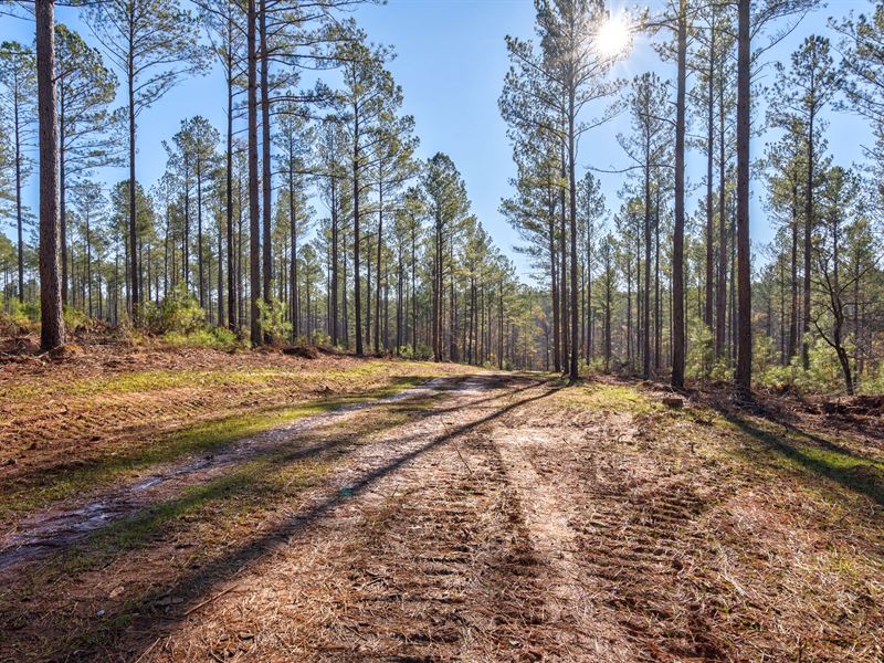 Faust Farm Road Tract 2 : Crawford : Oglethorpe County : Georgia