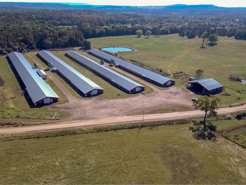 Arkansas Poultry Farm for Sale : Clarksville : Johnson County : Arkansas