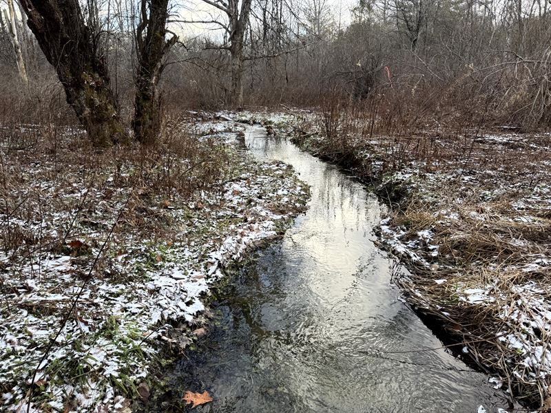 Pine Meadows with Stream : Erin : Chemung County : New York