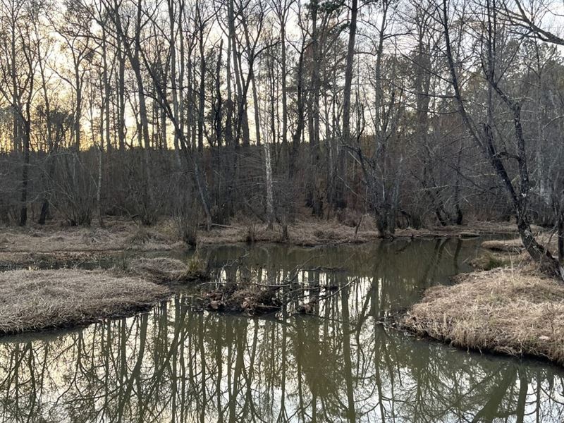 Log Dam Creek Retreat : Sparta : Hancock County : Georgia