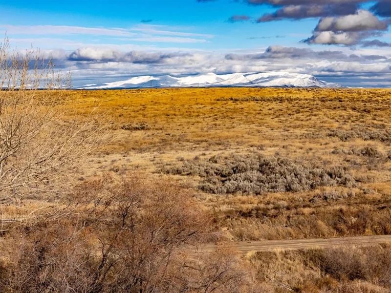 287.5 Acres in Payette County, ID : Caldwell : Payette County : Idaho