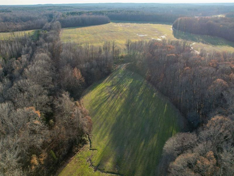 Serles Road Farm and Hunt : Middleton : Hardeman County : Tennessee