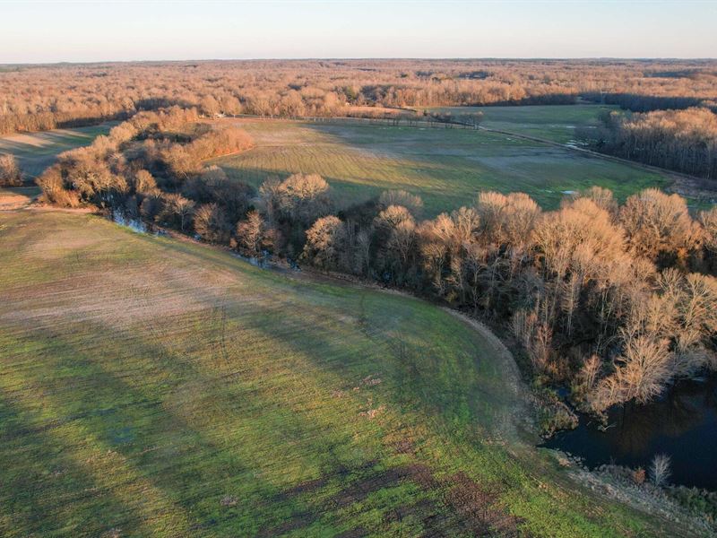 Tennessee Row Crop, Deer and Duck : Middleton : Hardeman County : Tennessee