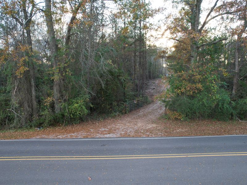 83 Acres with Pond : Billingsley : Autauga County : Alabama