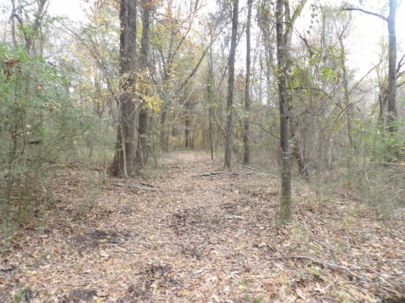 50 Acres Of Prime Recreattional Pro : Antlers : Pushmataha County : Oklahoma