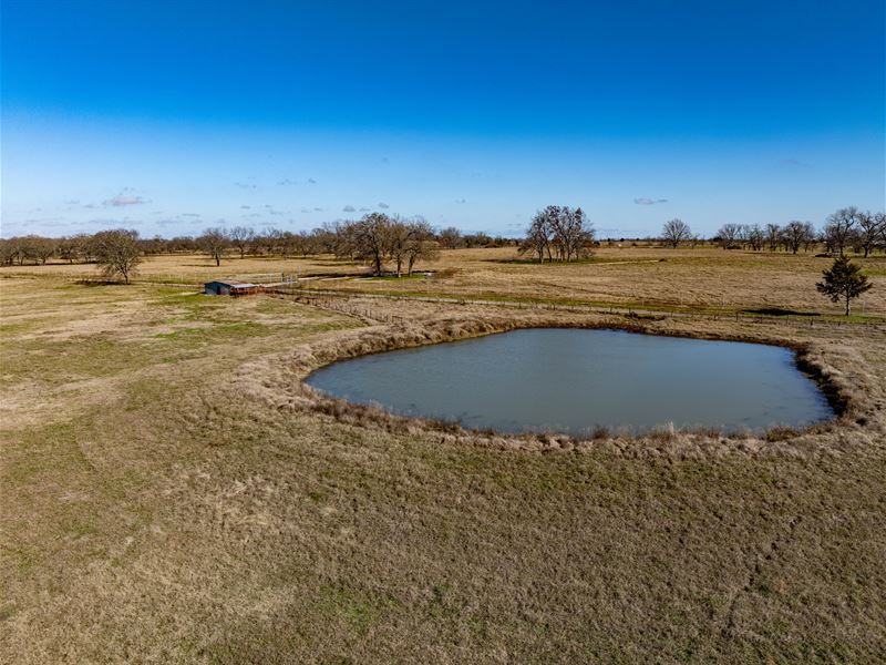 49.3 Acre Pasture & Hardwood : Deport : Lamar County : Texas