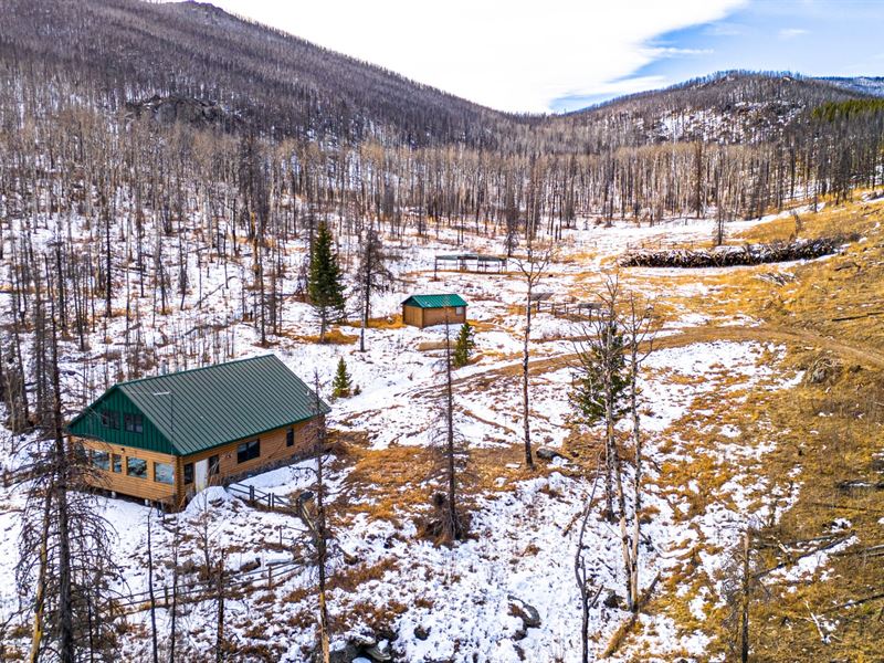 Granite Road Cabin : Bellvue : Larimer County : Colorado