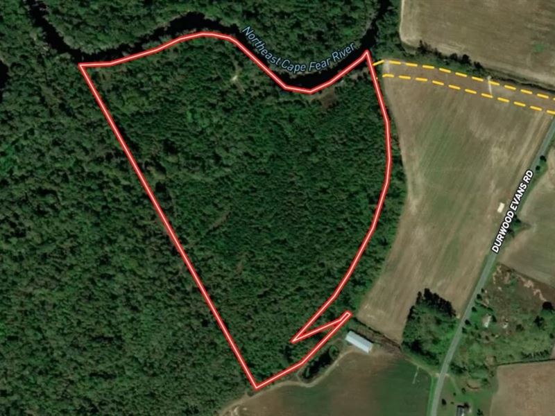 31.6 Acres of Rec : Beulaville : Duplin County : North Carolina