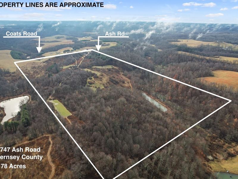 Ash Rd, 78 Acres, Guernsey County : Kimbolton : Guernsey County : Ohio