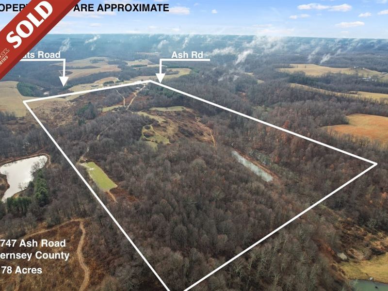 Ash Rd, 78 Acres, Guernsey County : Kimbolton : Guernsey County : Ohio