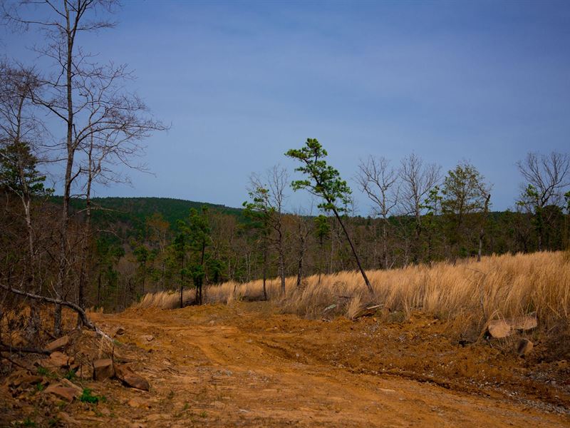 Hunting Land, no Credit Check : Wilburton : Latimer County : Oklahoma