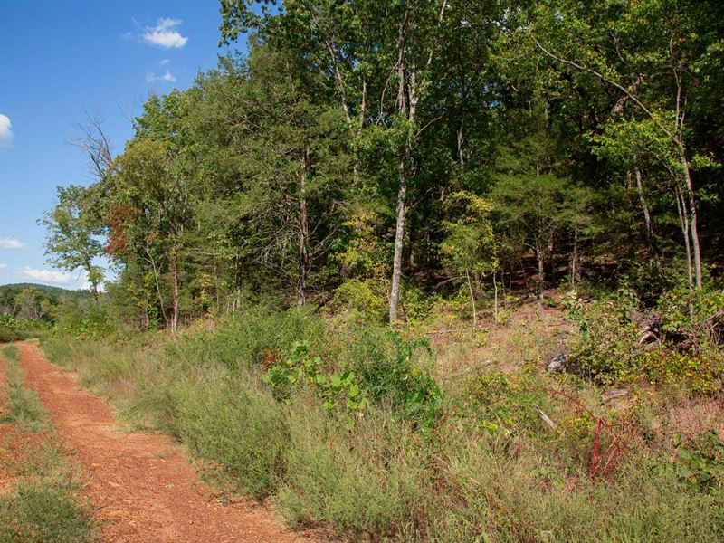 Beautiful Land, no Credit Check : Wilburton : Latimer County : Oklahoma