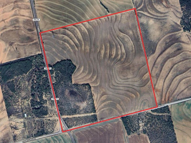 160 Acres in Mitchell County, TX : Westbrook : Mitchell County : Texas