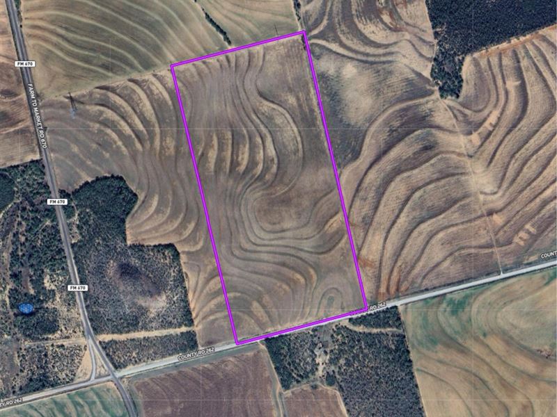 80 Acres in Mitchell County : Westbrook : Mitchell County : Texas