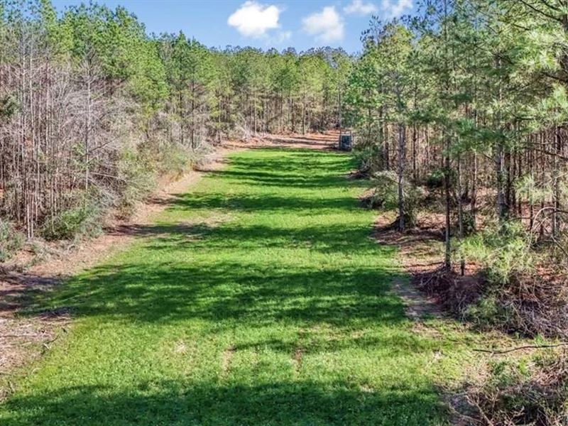 Hunting Land with Camp for Sale : Prentiss : Jefferson Davis County : Mississippi