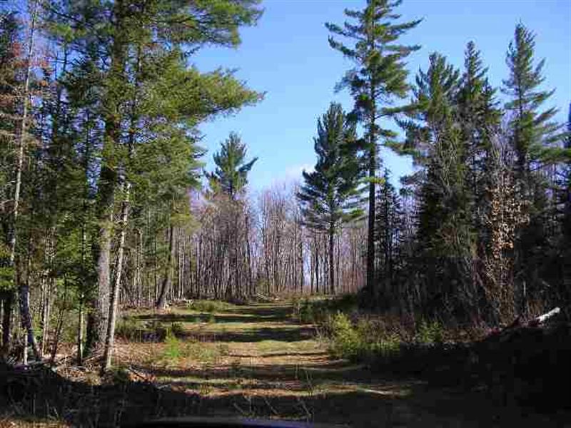 240 Ac Wooded Recreational Parcel : Ralph : Dickinson County : Michigan