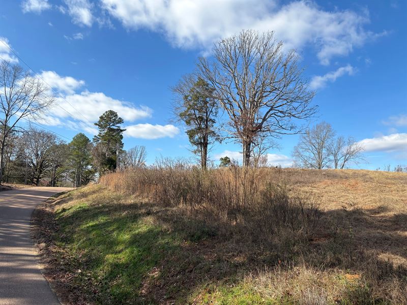 10.34 Acres in Lafayette County, MS : Oxford : Lafayette County : Mississippi