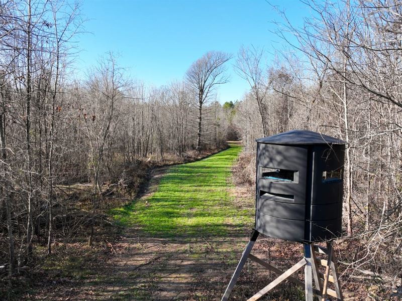 Clay County, 180 Acres, The Total : Mantee : Clay County : Mississippi