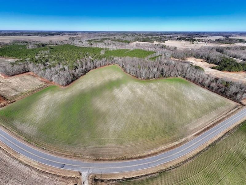 49 Acres of Farmland and Timberland : Elm City : Edgecombe County : North Carolina