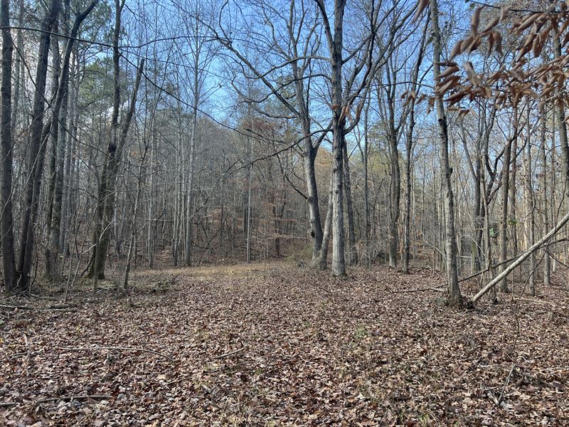 101.695 +/- Wooded Acres : Calhoun : Gordon County : Georgia