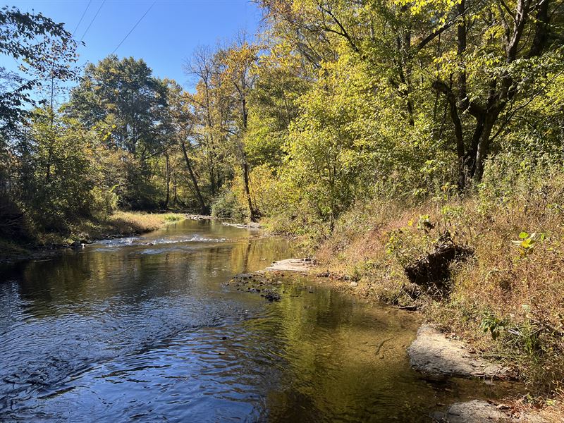 Unmatched Timber Tract with Creek : Westpoint : Lawrence County : Tennessee