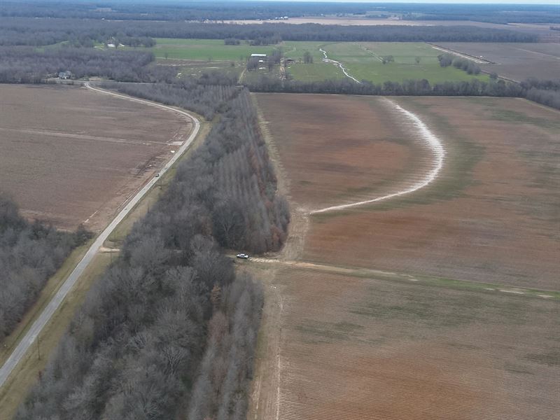 La, Richland 360 Acres : Rayville : Richland Parish : Louisiana