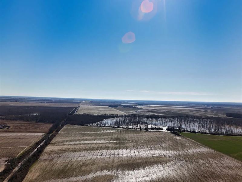 80 Acres in Coahoma County, MS : Coahoma : Coahoma County : Mississippi