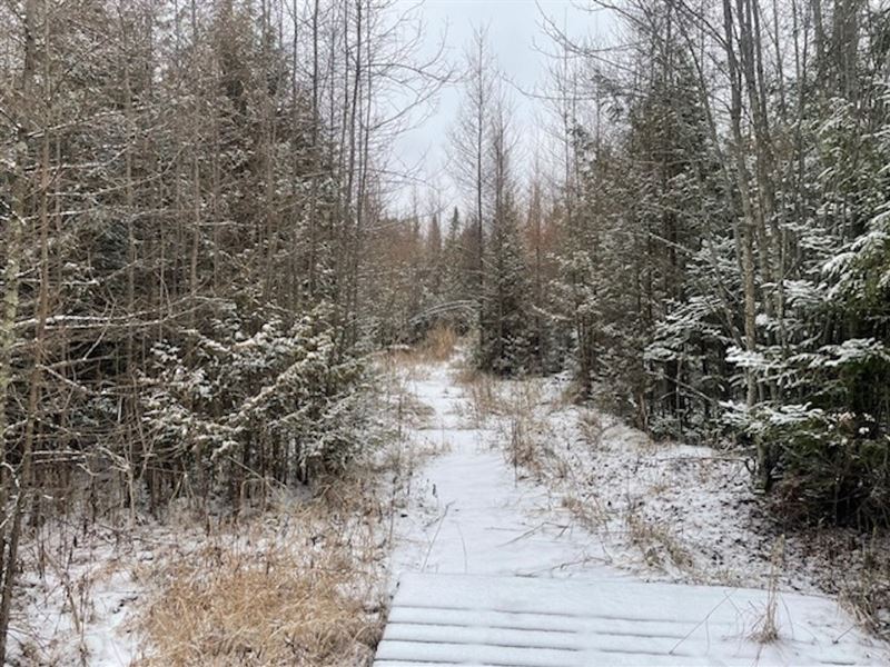 Winkle Road 60 : Gresham : Shawano County : Wisconsin