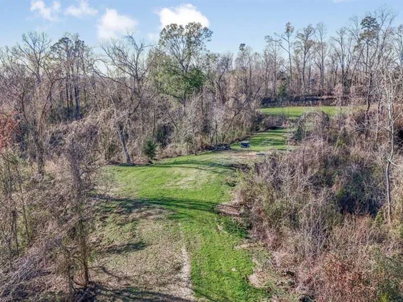 Hunting Land for Sale in The MS Del : Lorman : Jefferson County : Mississippi