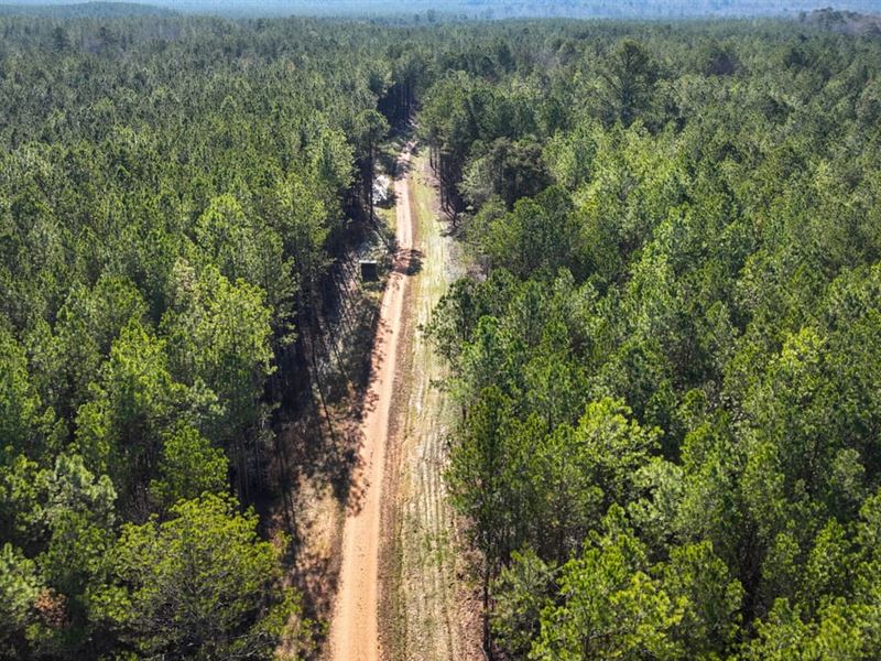 Lake Lowndes 100 : Columbus : Lowndes County : Mississippi