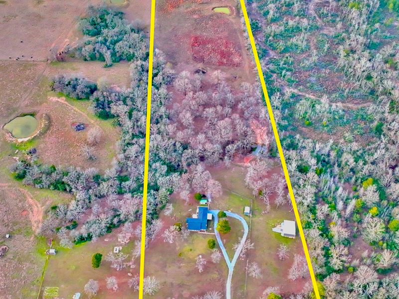 23 Acres 10339 FM 3178 : Oakwood : Leon County : Texas