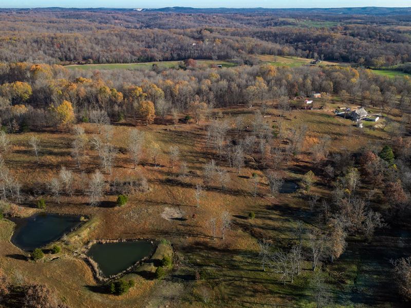 Farm and Recreational Property : Mountain Grove : Texas County : Missouri