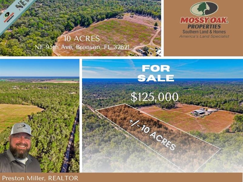 10 Acres in Bronson, FL : Bronson : Levy County : Florida