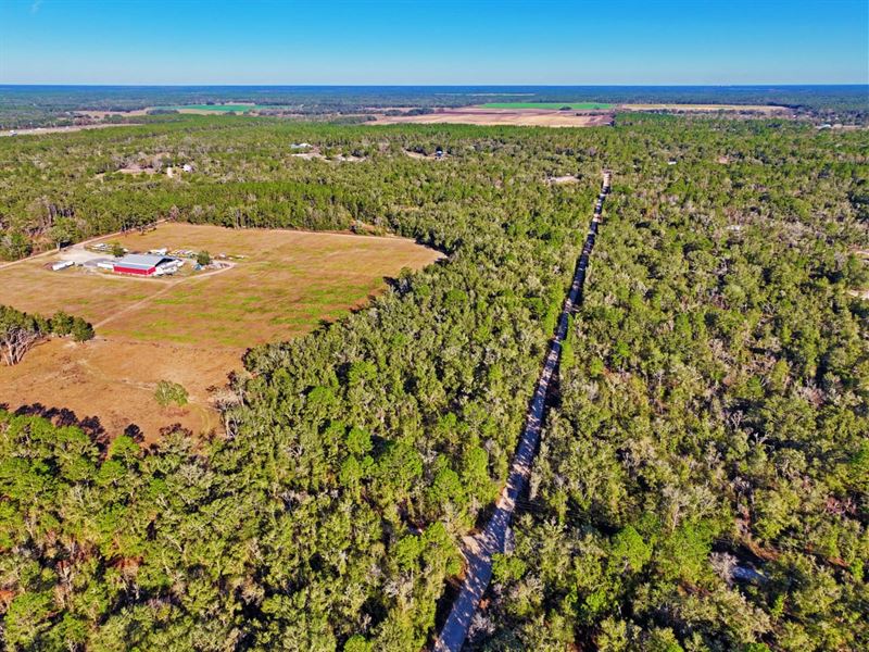 10 Acres in Bronson, FL : Bronson : Levy County : Florida