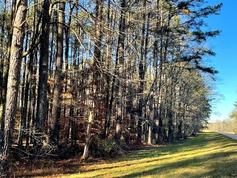 43 Acres in Leake County in Koscius : Kosciusko : Leake County : Mississippi