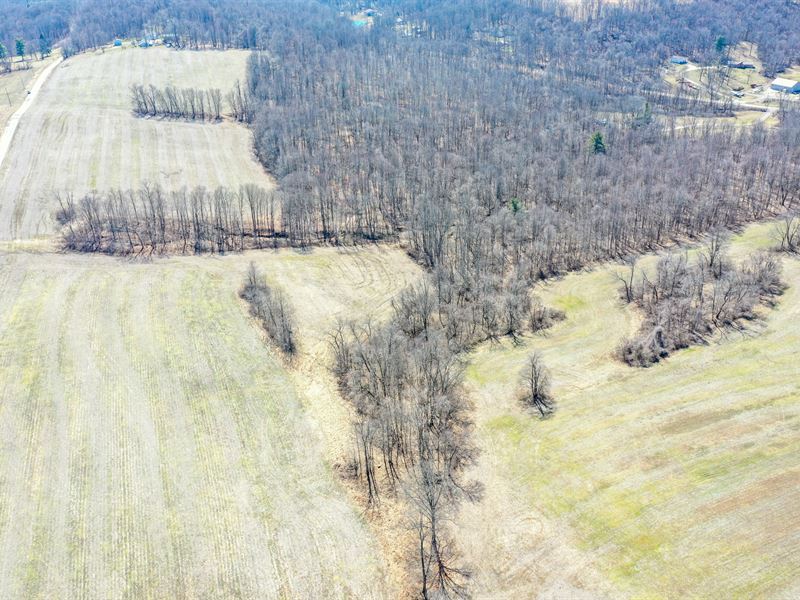 Cooks Hill Rd, 101.4 Acres : Glenford : Licking County : Ohio