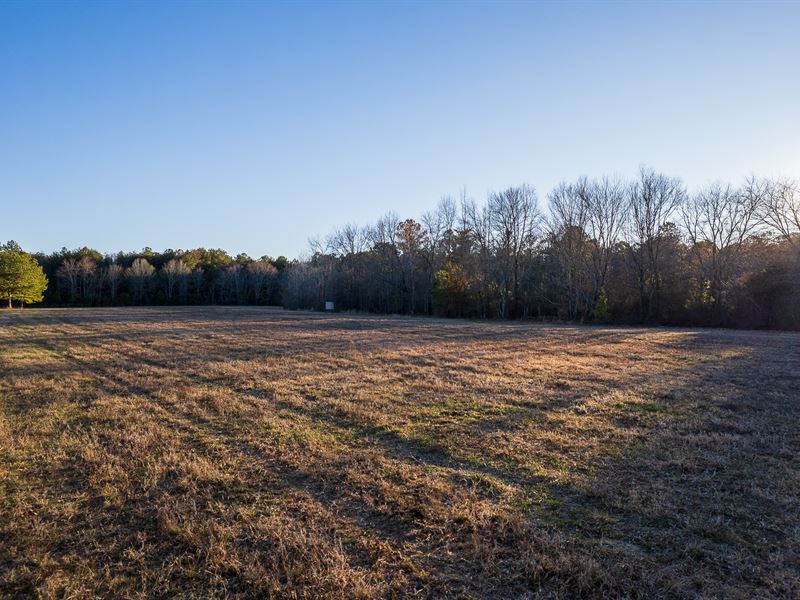 45 Acres Northeast Alabama : Flat Rock : Jackson County : Alabama