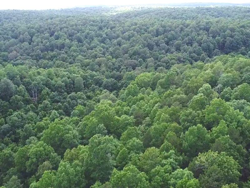 74.5 Acre Paradise : Bucyrus : Texas County : Missouri