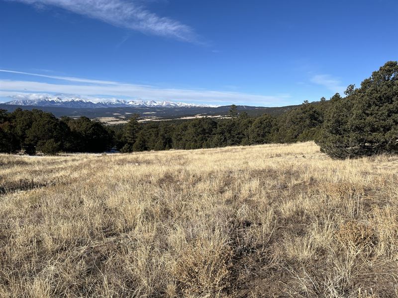 Turkey Creek Retreat : Gardner : Huerfano County : Colorado