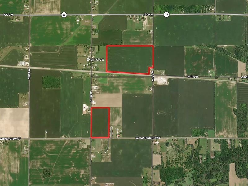 80 Acres Tillable, Madison County : Frankton : Madison County : Indiana