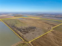 513 Excellent Row Crop, Duck : Hickory Ridge : Cross County : Arkansas