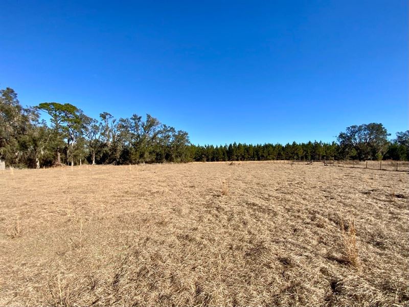 39.19 Acres on Captain Brown Rd : Madison : Madison County : Florida