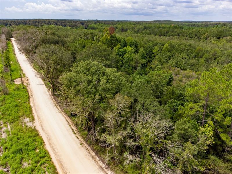 23 Ac Mini Farm, Hunting and Develo : Bonifay : Washington County : Florida