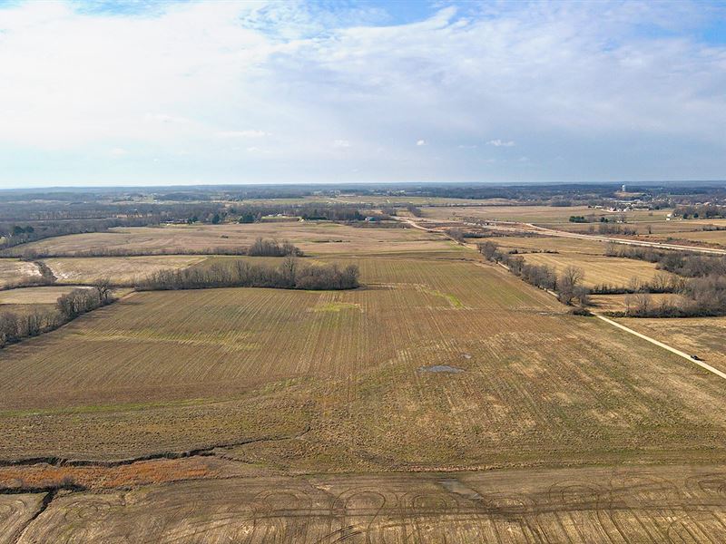 Auction 155.87+/- Ac Petersburg, In : Petersburg : Pike County : Indiana