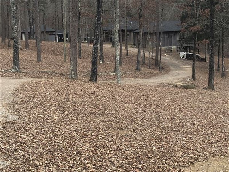 Deer & Turkey Hunting with Cabins : Shirley : Van Buren County : Arkansas