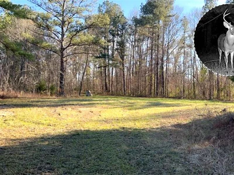 65 Acres in Rankin County in Pearl : Pearl : Rankin County : Mississippi