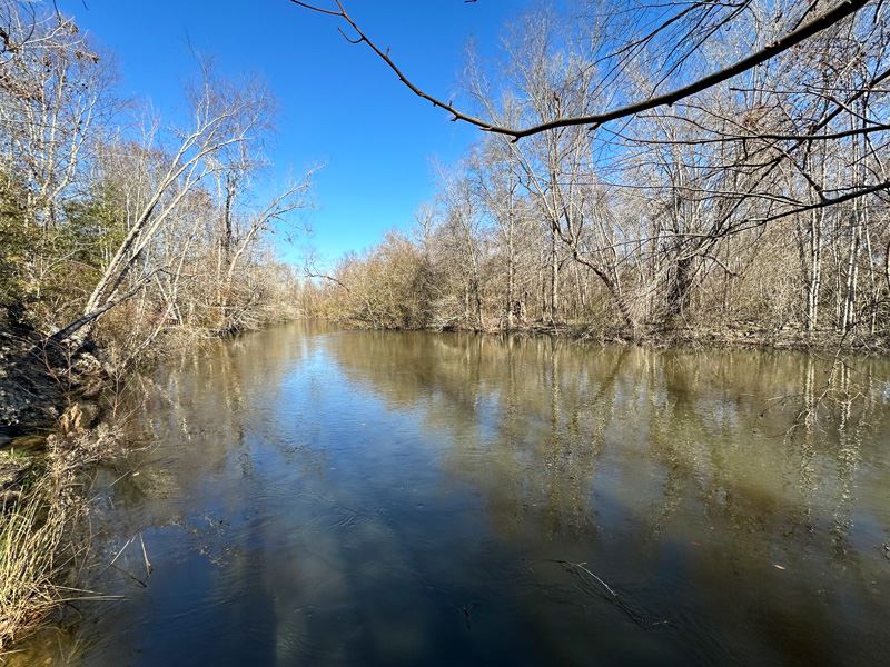 300 Acres on Brier Creek : Keysville : Burke County : Georgia