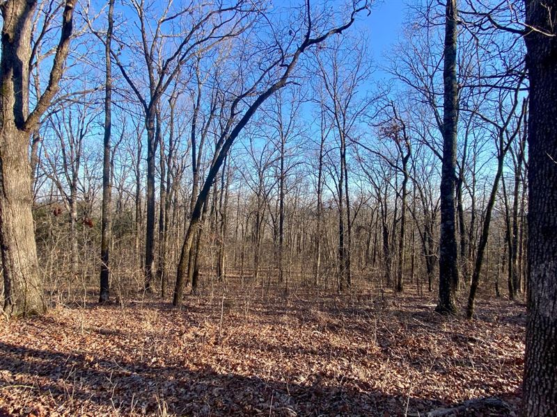 Liberty Hill 80 : Natural Dam : Crawford County : Arkansas