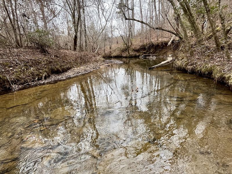 Wildcat Creek Hunting & Recreation : Wedowee : Randolph County : Alabama