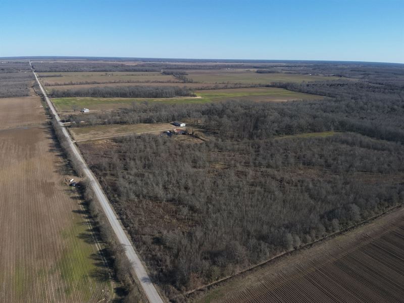 La, Richland 39.4 Acres : Rayville : Richland Parish : Louisiana